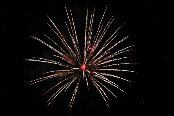 Beautiful new years firework celebration in black evening sky. — Stock Photo, Image