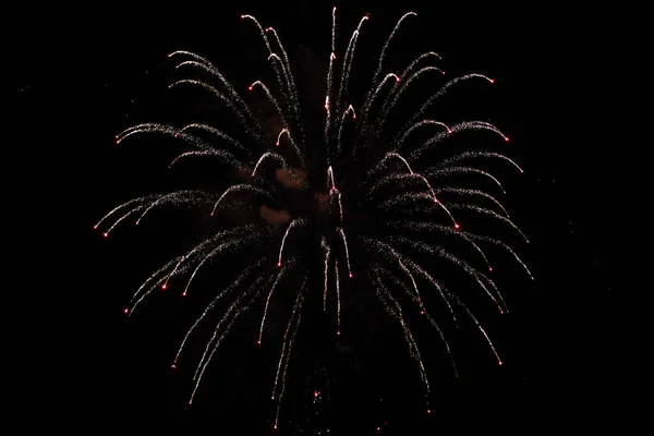 Beautiful new years firework celebration in black evening sky. — Stock Photo, Image