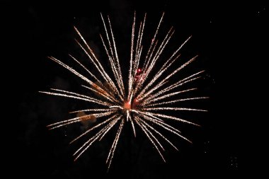 Güzel yeni yıl havai fişek kutlaması Kara akşam gökyüzünde.