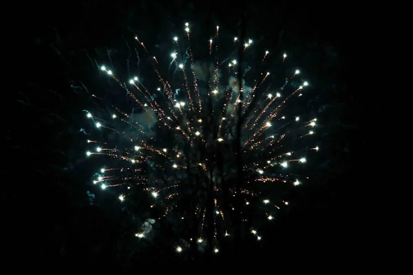 Beautiful new years firework celebration in black evening sky. — Stock Photo, Image