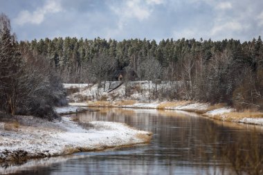 Venta nehrinin güzel karlı ormanın yakınında aktığı kırsal manzara manzarası. Fotoğraf: Kuldiga, Letonya.