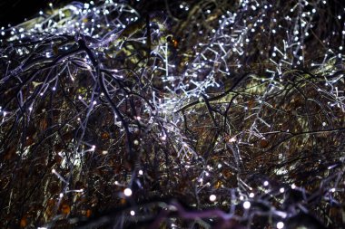 Küçük ışıklı LED Noel süslemeleri. Fotoğraf Letonya 'da çekildi.