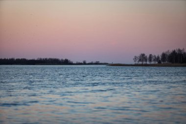 Akşamın ilerleyen saatlerinde nehrin denize doğru akan görüntüsü. Güzel pembe renkli gökyüzü. Fotoğraf: Avrupa, Letonya.
