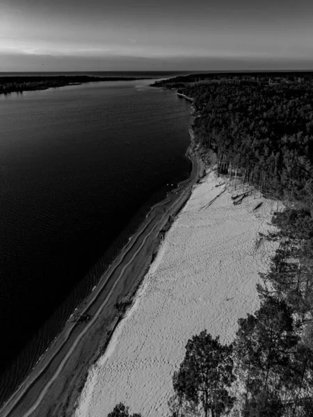 Piękny Dron Prawdziwy Widok Fotografii Duży Las Wydmowy Sosnowy Pobliżu — Zdjęcie stockowe