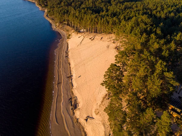 Piękny Dron Prawdziwy Widok Fotografii Duży Las Wydmowy Sosnowy Pobliżu — Zdjęcie stockowe