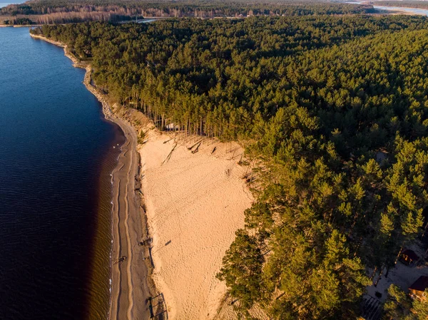 Piękny Dron Prawdziwy Widok Fotografii Duży Las Wydmowy Sosnowy Pobliżu — Zdjęcie stockowe