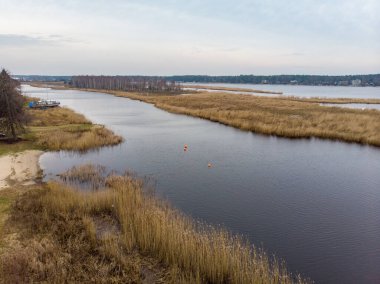 Lielupe nehrinin nehir kenarındaki güzel manzarası her iki sahil şeridinde de çam ormanı şeritlerinin yanında akıyor. Fotoğraf Avrupa, Letonya 'da çekildi.
