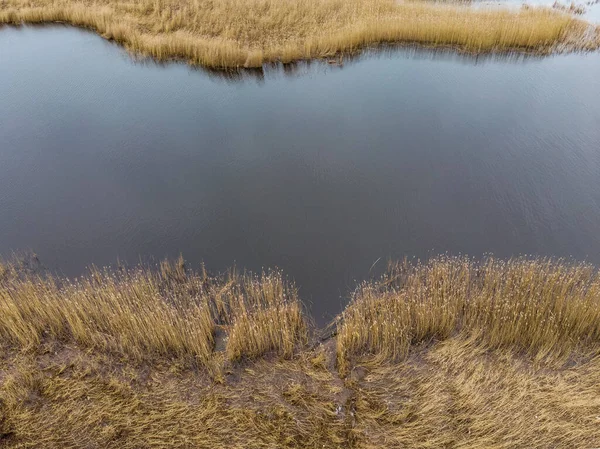 Foto Van Zeegras Bij Rivier Lielupe Een Bewolkte Dag Foto — Stockfoto