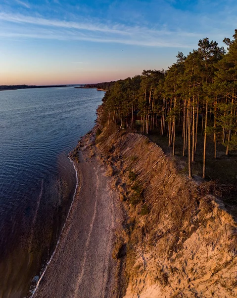 Prachtige Drone Areal Fotografie Uitzicht Grote Duinen Dennenbos Buurt Van — Stockfoto