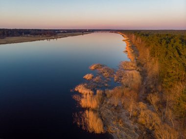 Gün batımında Lielupe Nehri kıyısı manzaralı güzel bir çam ağacı ormanı. Fotoğraf Avrupa, Letonya 'da çekildi.