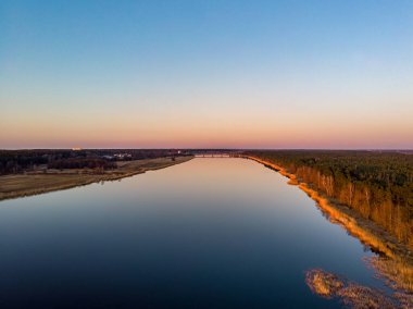 Nehir Lielupe Kırsal Bölgesi, gün batımında güzel çam ağacı ormanlarıyla kıyı şeridine yakın. Fotoğraf Avrupa, Letonya 'da çekildi.