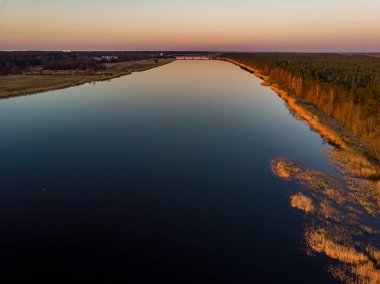 Gün batımında Lielupe Nehri kıyısı manzaralı güzel bir çam ağacı ormanı. Fotoğraf Avrupa, Letonya 'da çekildi.