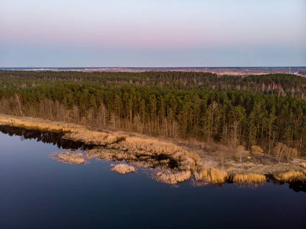 Řeka Lielupe Krajina Pohled Při Západu Slunce Pobřeží Krásným Borovicovým — Stock fotografie