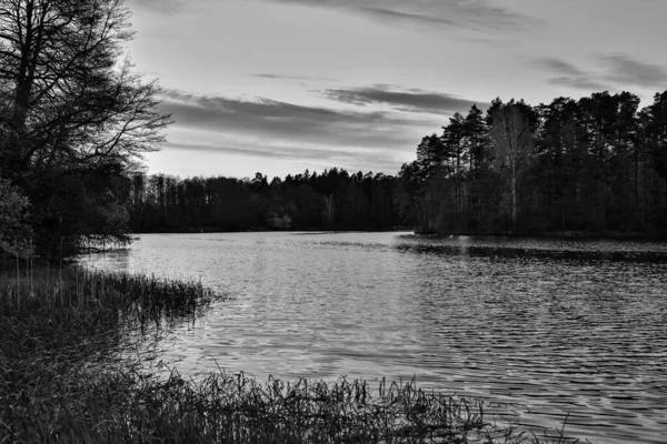 Foto Tarda Sera Piccolo Stagno Campagna Con Alberi Intorno Tramonto — Foto Stock