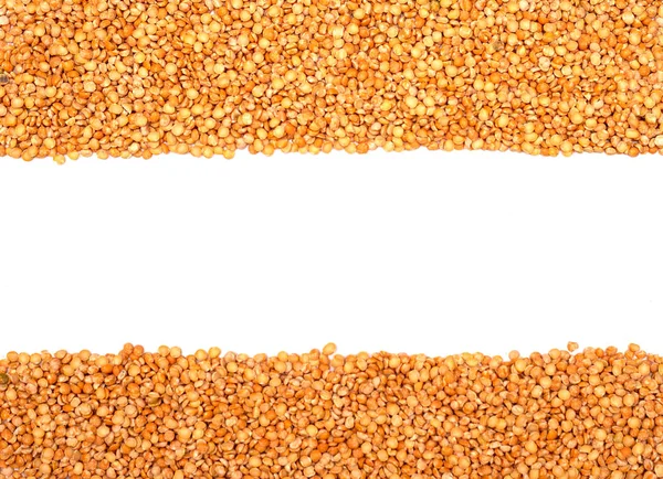 白い背景にエンドウ豆の草の縞。トップビュー、コピースペース. — ストック写真
