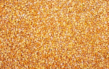 Bezelye arkaplanı. Üst görünüm, alanı kopyala.