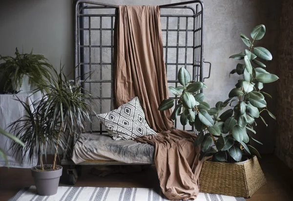 Zarif bir oturma odası. İçi büyük yeşil çiçeklerle dolu.