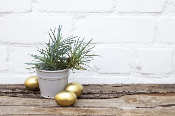 Zlatá velikonoční vajíčka a keramický šedý kbelík s jarní zelenou trávou na dřevěném stole v blízkosti bílé cihlové zdi pozadí. Kopírovat prostor — Stock fotografie