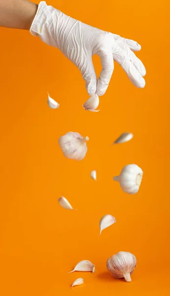 Hand in surgical glove falling garlic, isolated on orange background. Protective immune system creative levitation concept during coronavirus quarantine. Vertical fly food