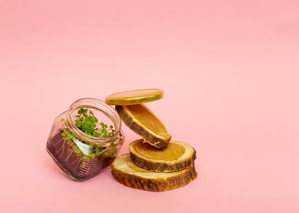 Pembe arka planda tahta daireler üzerinde dengelenmiş çiğ organik roka içeren cam kavanoz. Taze salata yapmak için mikroçim. Detoks, diyet. Tohumlar. Süper yemek, sağlıklı beslenme. Ekolojik kavram.