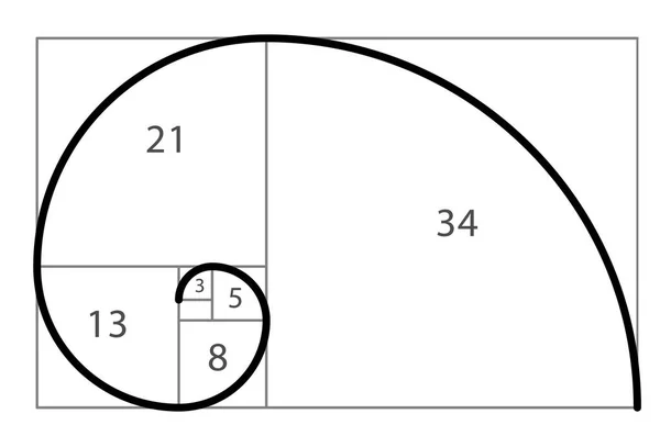 Ración dorada proporciones de sección. Plantilla vectorial en proporción dorada ilustración fibonacci — Vector de stock