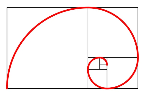 Plantilla proporción de oro. Concepto geométrico Fibonacci espiral aislado — Vector de stock