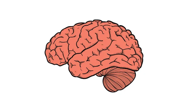 Логотип Мозку Векторний Дизайн — стоковий вектор
