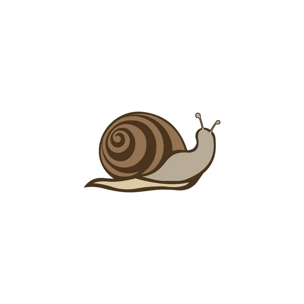 Snail Logo矢量设计模板 — 图库矢量图片