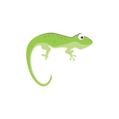 Gecko Kertenkele Logo Vektör Tasarım Şablonu