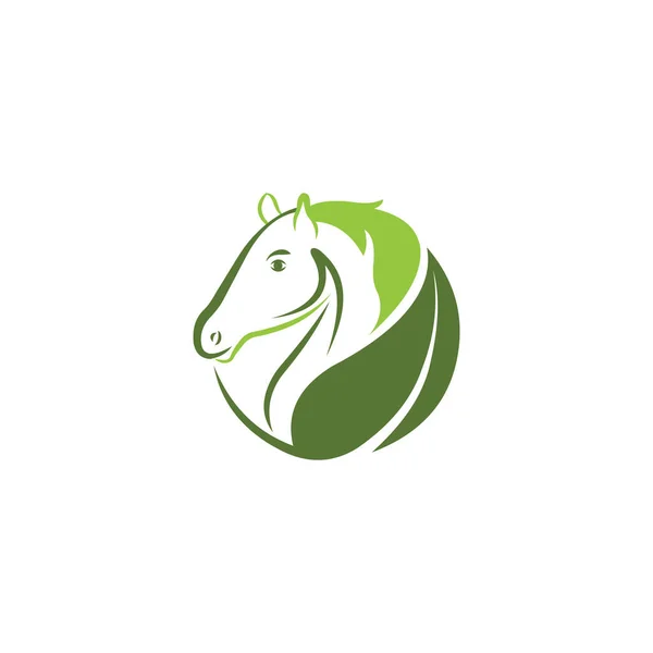 Πρότυπο Σχεδιασμού Φορέα Λογότυπου Αλόγου Ζώου — Διανυσματικό Αρχείο