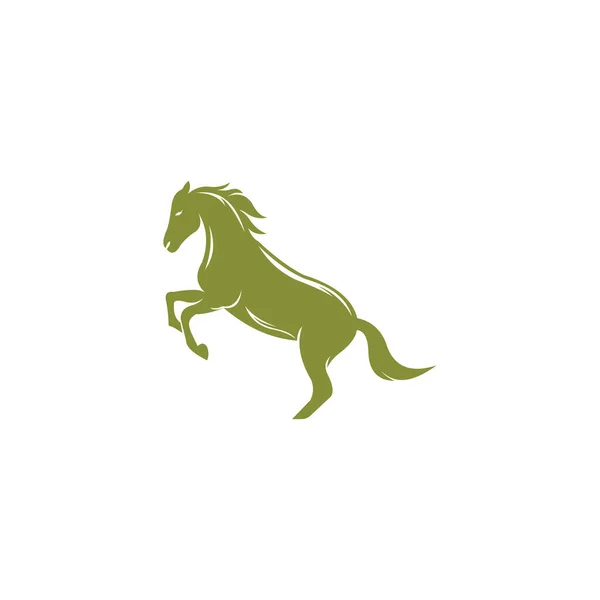 Modelo Design Vetor Logotipo Cavalo Animal —  Vetores de Stock