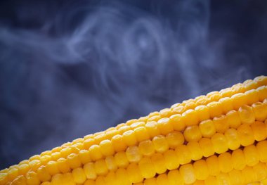 Koyu arka plan üzerinde olgunlaşmış Mısır taneleri