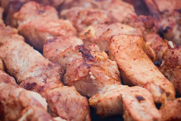 Fresh meat shish kebab fried and smoked on a charcoal grill. Royalty Free Stock Photos