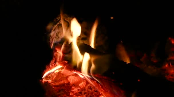 燃烧着炽热的红色,抽象的背景.燃烧木柴的炽热的篝火.柴火在烤架上燃烧. — 图库视频影像