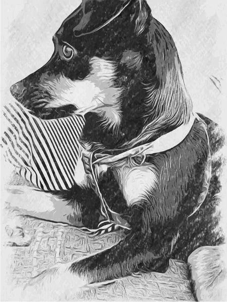 Siyah Beyaz Köpek Çizimi — Stok fotoğraf