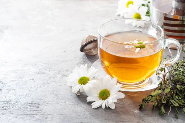 Herbal tea with camomile on a light background. Cup of tea with herbs and dried fruits on a gray concrete table. Vitamin drink.