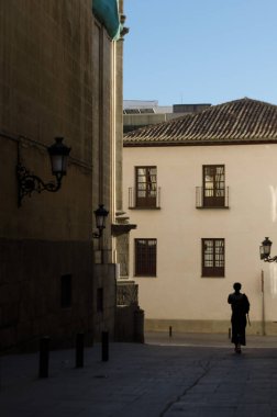Yan taraflarında koloni evleri olan bir caddenin mimari manzarası, bir kadının silueti içinden geçerken,