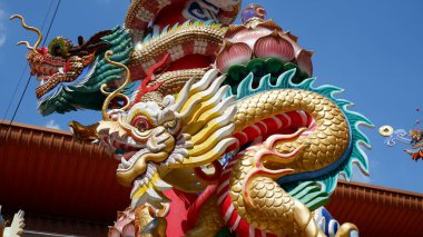 Mavi üzerine renkli Çin Ejderhası 