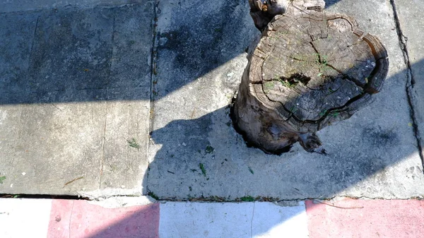 Caddenin Sağ Tarafında Ağaç Kütüğü Var — Stok fotoğraf