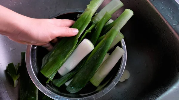 Greenjapanese Cincang Bersama Bawang — Stok Foto