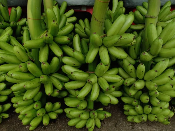 Πολλές Φρέσκες Μπανάνες Lady Finger — Φωτογραφία Αρχείου