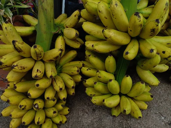 Muita Banana Fresca Dedo Senhora — Fotografia de Stock