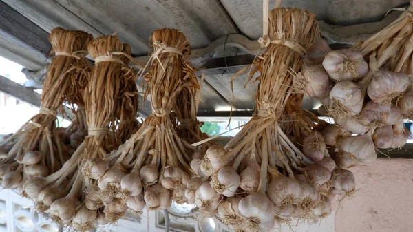 Çatıda Kurumuş Sarımsak Asılı — Stok fotoğraf