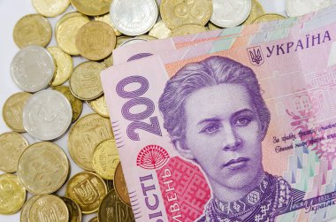 Beyaz arka planda 200 hryvnia ve bozuk para. İş konsepti.