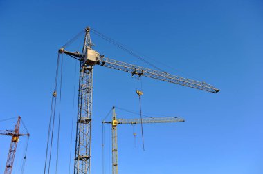 Mavi gökyüzüne karşı üç inşaat vinci