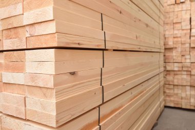 Ormanlı bir depoda birçok katlanmış tahta parçası var.