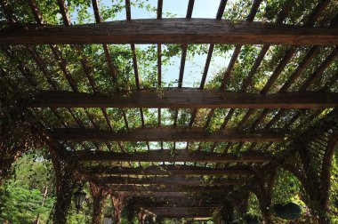 Güzel bir yapı, tente, tahtadan yapılmış. Tırmanma tesisleri için bir tahta sokak.