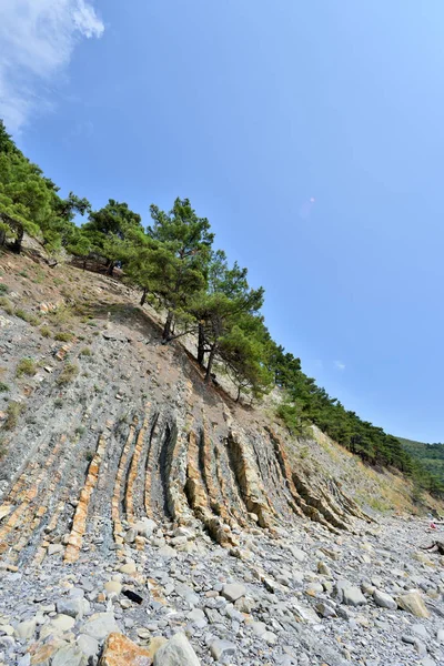 Beautiful structure of the rock, consists of a solid rock in the form of layers. On a steep rock grow coniferous trees