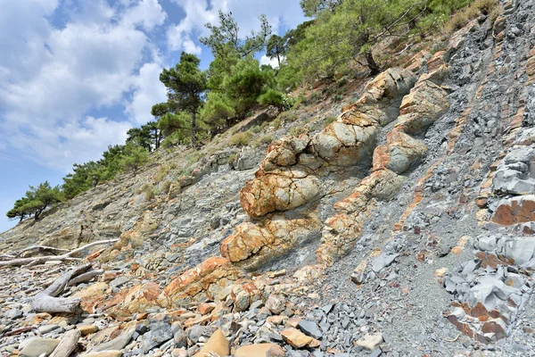 Belle structure de la roche, se compose d'une roche solide. Sur un rocher escarpé poussent des conifères — Photo