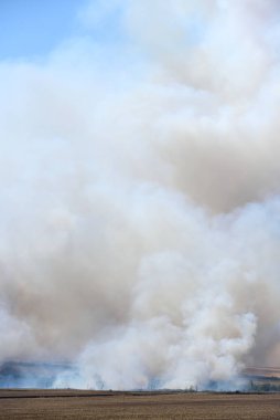 Ormanda ve tarlada büyük bir yangın, gökyüzünde yoğun bir duman